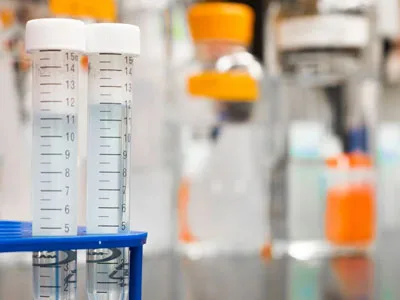 Research collaborations - ICRD